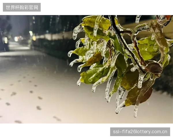 能否在不牺牲雪季运营收入的前提下，为老旧雪场找到植入水循环系统的改造窗口期？